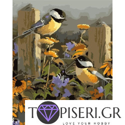 Painting By Numbers Birds In Orange Flowers