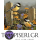 Painting By Numbers Birds In Orange Flowers - Tapiseri.GR