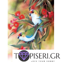 Painting By Numbers Little Parrots