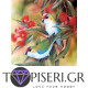 Painting By Numbers Little Parrots - Tapiseri.GR Painting By Numbers Little Parrots - Tapiseri.GR