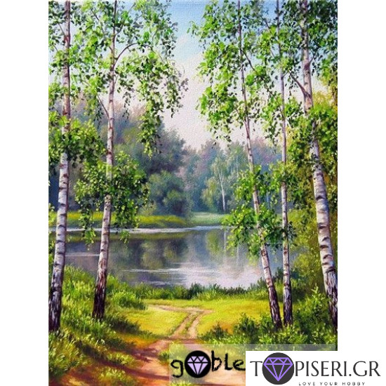 Painting By Numbers Birches By The River - Tapiseri.GR