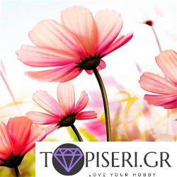 Painting By Numbers Pink Flowers 2