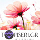 Painting By Numbers Pink Flowers 2 - Tapiseri.GR