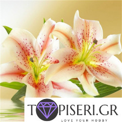 Painting By Numbers Lilium 2