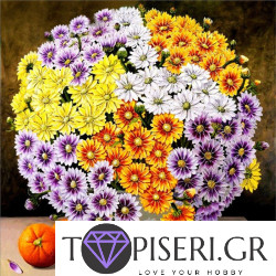 Painting By Numbers Variegated Chrysanthemums