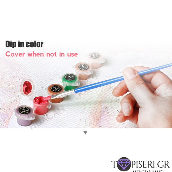 Ζωγραφική με αριθμούς Κόκκινες παπαρούνες - Tapiseri.GR
