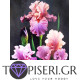 Diamond Painting Irises 4 - Tapiseri.GR