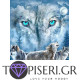 Diamond Painting White Wolfs - Tapiseri.GR