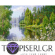 Diamond Painting Daisies In Forest - Tapiseri.GR