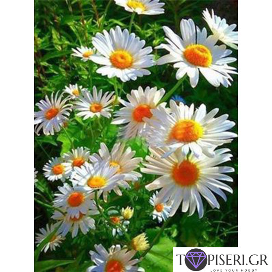 Diamond Painting Sunny Daisies - Tapiseri.GR Diamond Painting Sunny Daisies - Tapiseri.GR