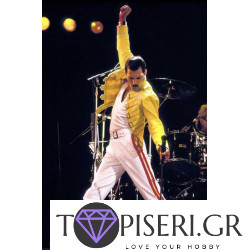 Diamond Painting Freddie Mercury