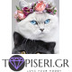 Diamond Painting two Kittens - Tapiseri.GR