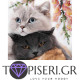 Diamond Painting Three Kittens - Tapiseri.GR